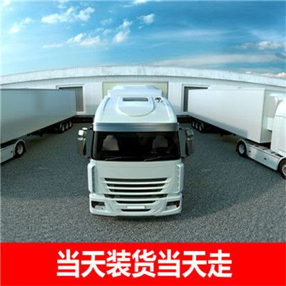 東莞到新北蘆洲區物流專線